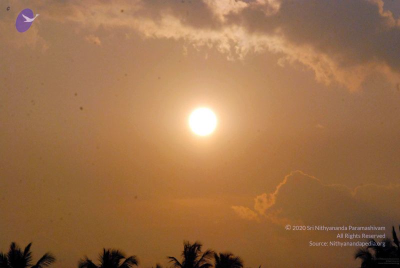 File:20091126DSC 1426 CMP WM001.jpg