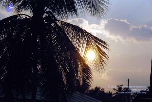 20091126DSC 1428 CMP WM001.jpg