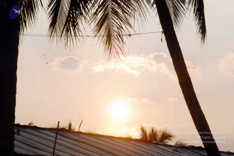 File:20091126DSC 1429 CMP WM001.jpg