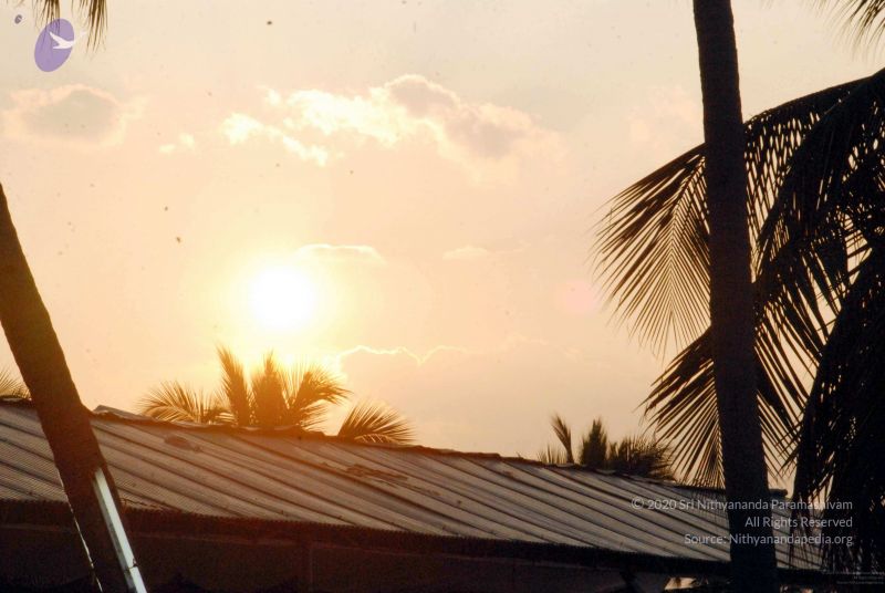 File:20091126DSC 1430 CMP WM001.jpg