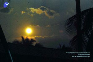 20091126DSC 1431 CMP WM001.jpg