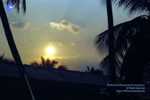 20091126DSC 1432 CMP WM001.jpg