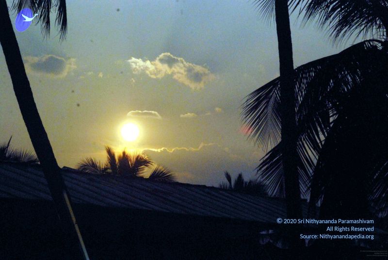 File:20091126DSC 1432 CMP WM001.jpg