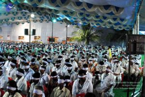 20091126DSC 1439 CMP WM001.jpg