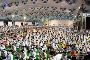 20091126DSC 1456 CMP WM001.jpg