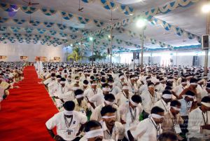 20091127DSC 1536 CMP WM001.jpg