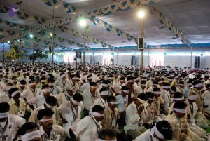 20091127DSC 1537 CMP WM001.jpg