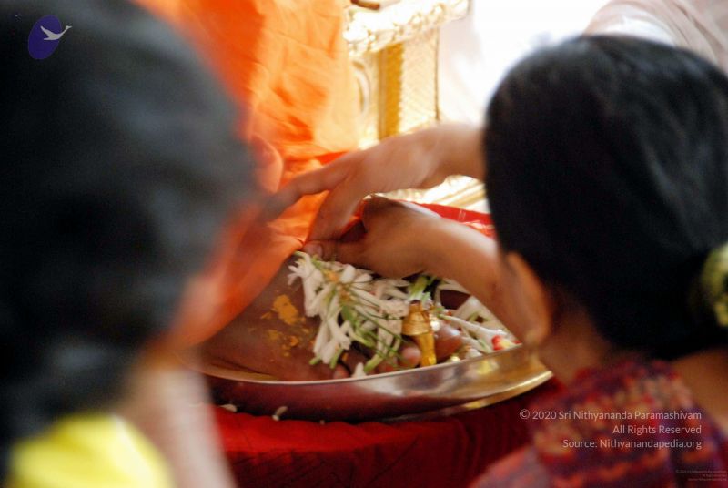 File:20091127DSC 1676 CMP WM001.jpg