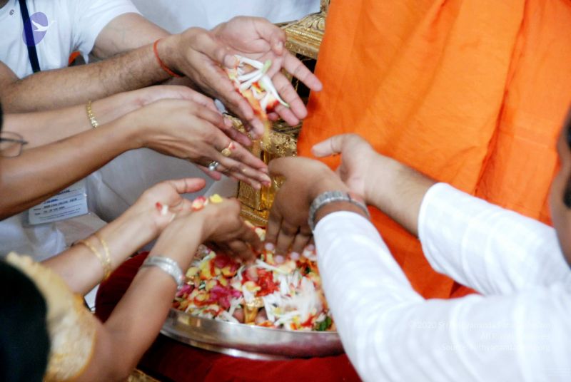 File:20091127DSC 1686 CMP WM001.jpg