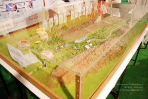 20091127DSC 1751 CMP WM001.jpg