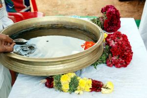 20091128DSC 1928 CMP WM001.jpg