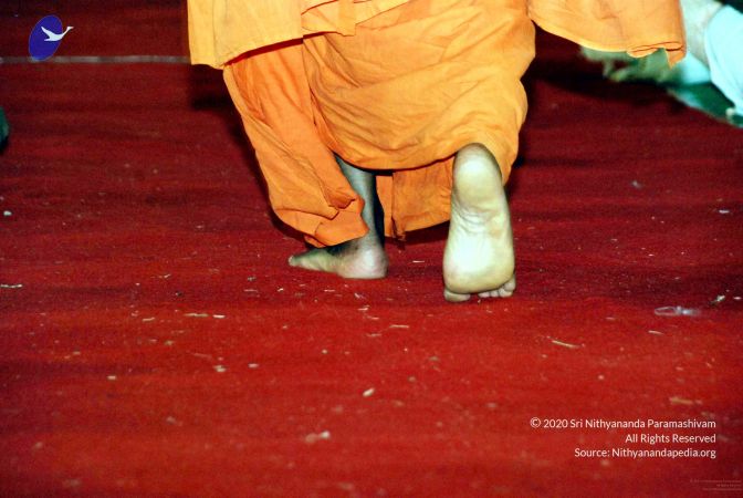 20091128DSC 2011 CMP WM001.jpg