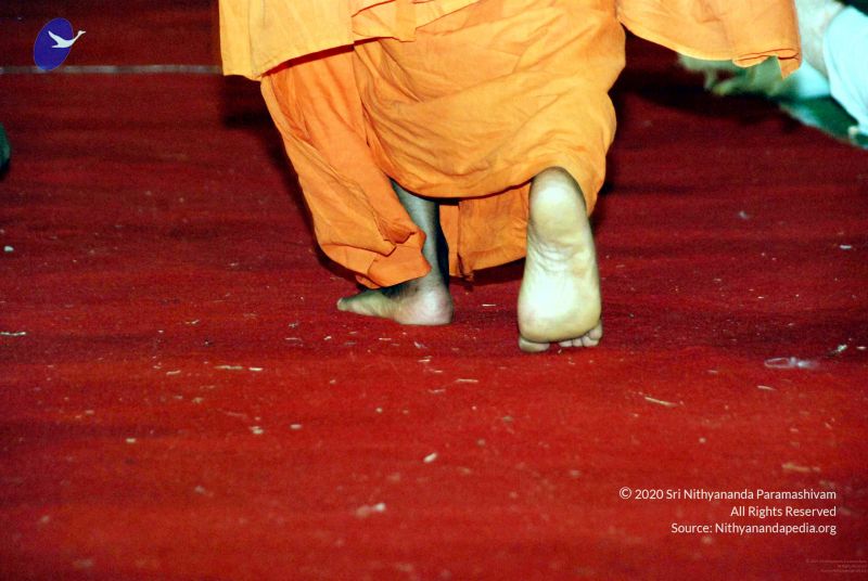 File:20091128DSC 2011 CMP WM001.jpg