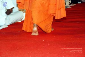 20091128DSC 2167 CMP WM001.jpg