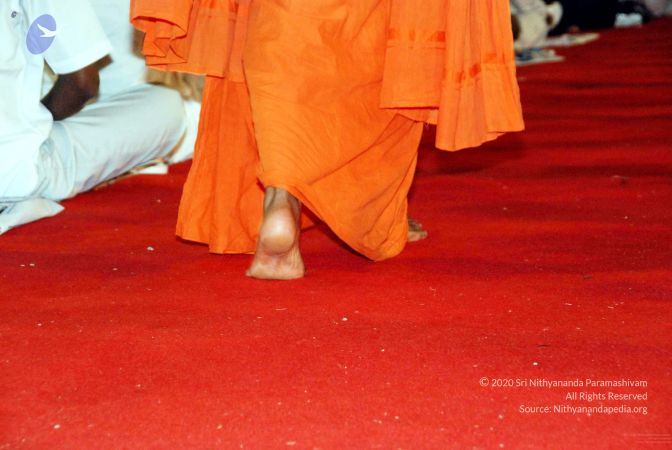 20091128DSC 2167 CMP WM001.jpg