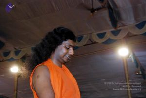 20091128DSC 2183 CMP WM001.jpg