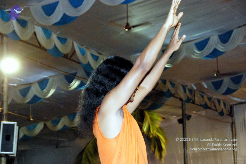 File:20091128DSC 2196 CMP WM001.jpg