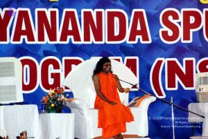 20091128DSC 2210 CMP WM001.jpg