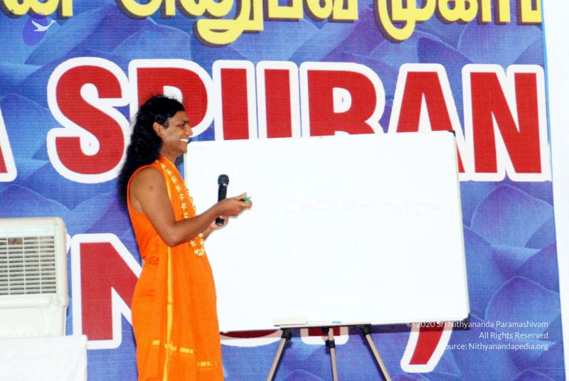 File:20091129DSC 2411 CMP WM001.jpg