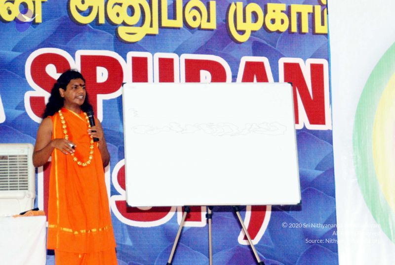 File:20091129DSC 2429 CMP WM001.jpg