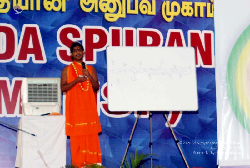 File:20091129DSC 2431 CMP WM001.jpg