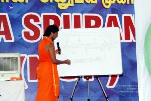 20091129DSC 2437 CMP WM001.jpg