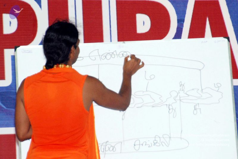 File:20091129DSC 2439 CMP WM001.jpg