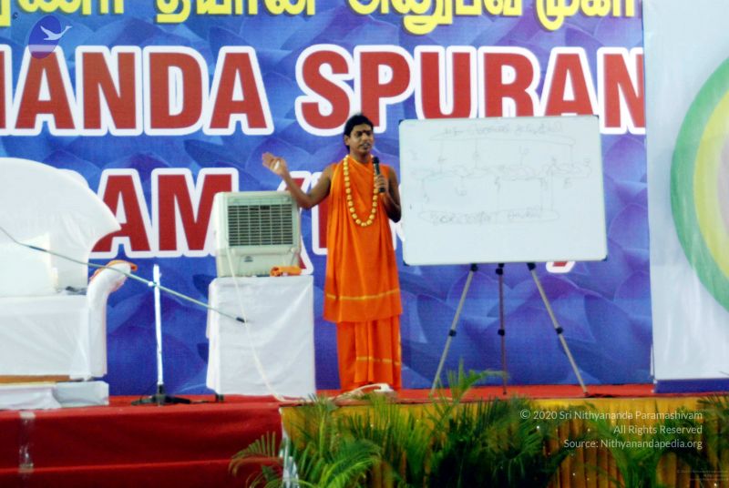 File:20091129DSC 2452 CMP WM001.jpg