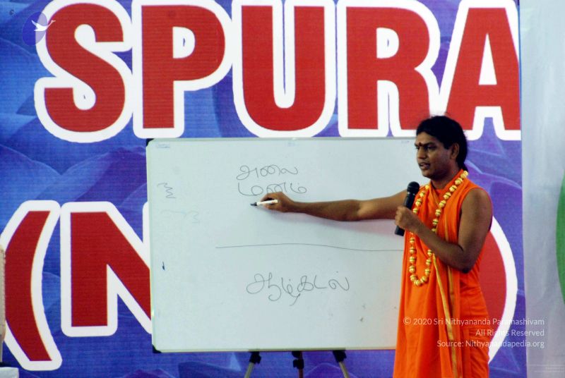 File:20091129DSC 2471 CMP WM001.jpg