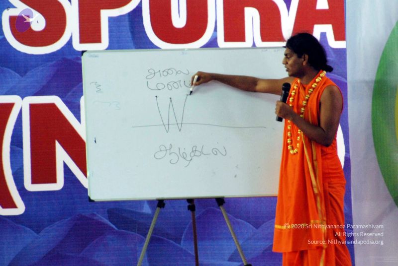 File:20091129DSC 2473 CMP WM001.jpg