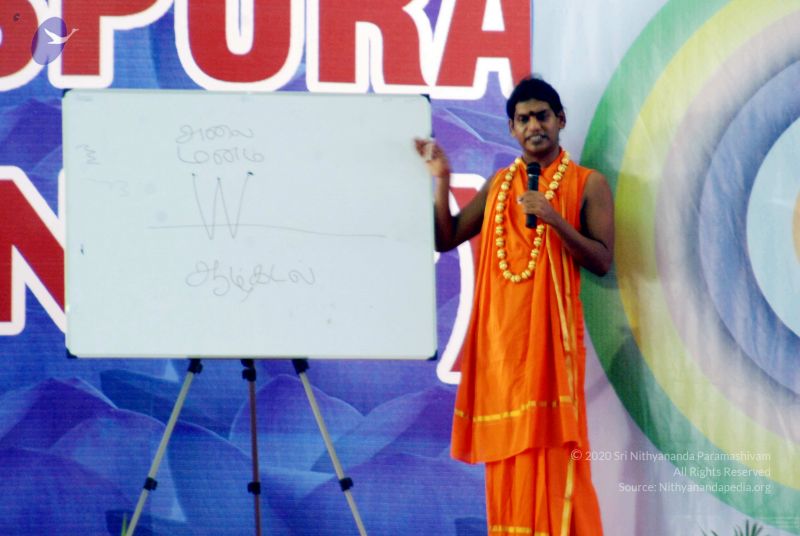 File:20091129DSC 2476 CMP WM001.jpg