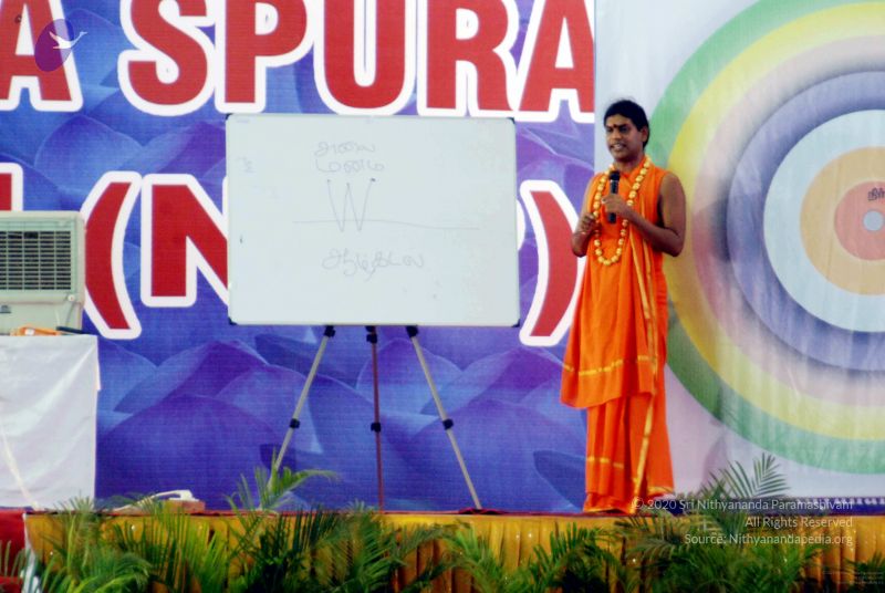 File:20091129DSC 2478 CMP WM001.jpg