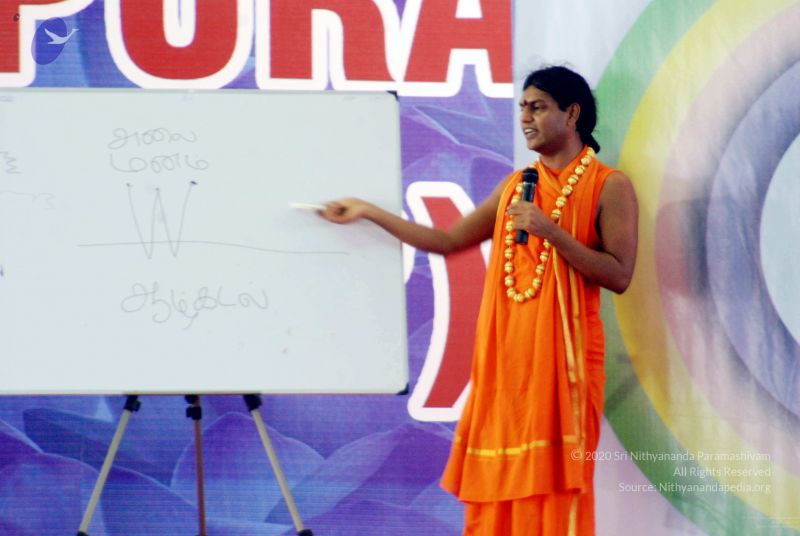 File:20091129DSC 2485 CMP WM001.jpg