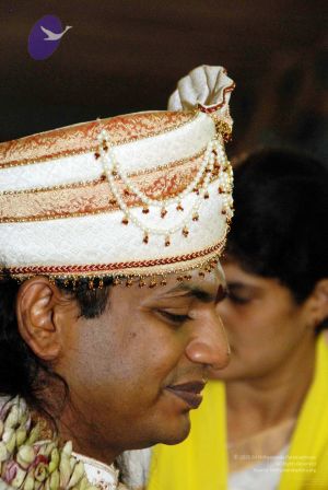 20091129DSC 2792 CMP WM001.jpg