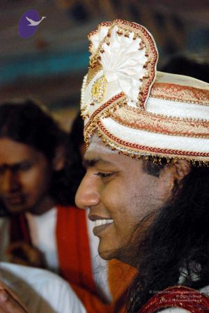 20091129DSC 2797 CMP WM001.jpg