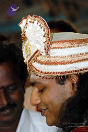 20091129DSC 2799 CMP WM001.jpg