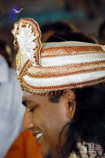 File:20091129DSC 2818 CMP WM001.jpg