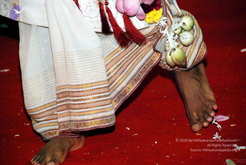 File:20091129DSC 2955 CMP WM001.jpg