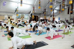 20091201DSC 3708 CMP WM001.jpg