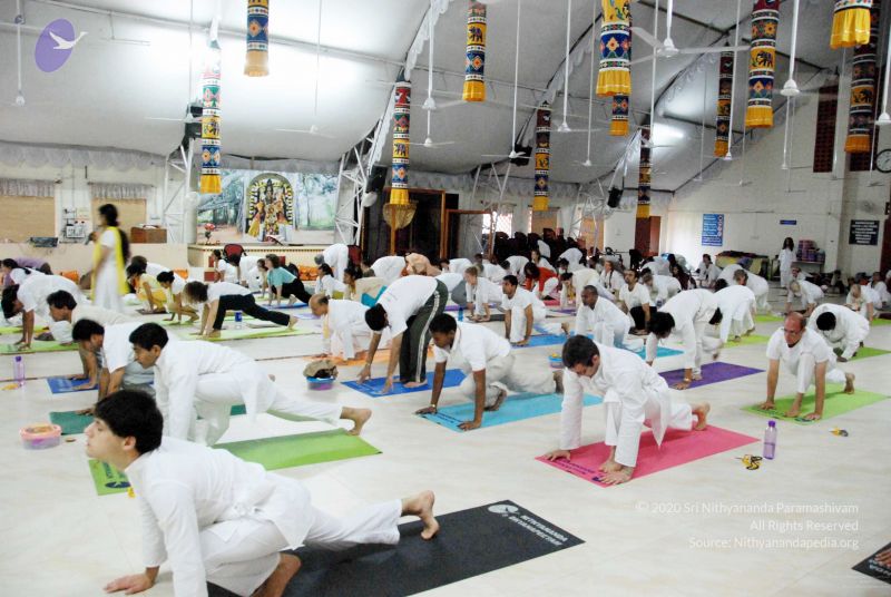 File:20091201DSC 3708 CMP WM001.jpg