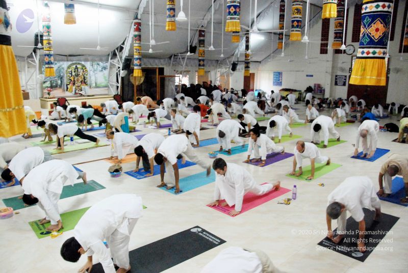 File:20091201DSC 3709 CMP WM001.jpg