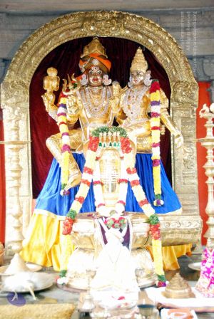 20091201DSC 3725 CMP WM001.jpg