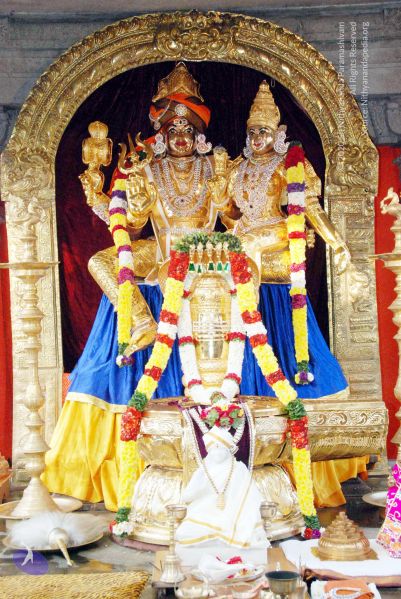 File:20091201DSC 3730 CMP WM001.jpg