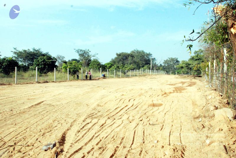 File:20091201DSC 3760 CMP WM001.jpg