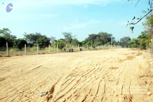 20091201DSC 3765 CMP WM001.jpg