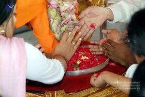 20091201DSC 3784 CMP WM001.jpg