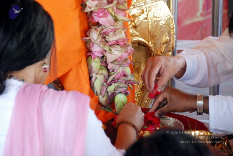 File:20091201DSC 3786 CMP WM001.jpg