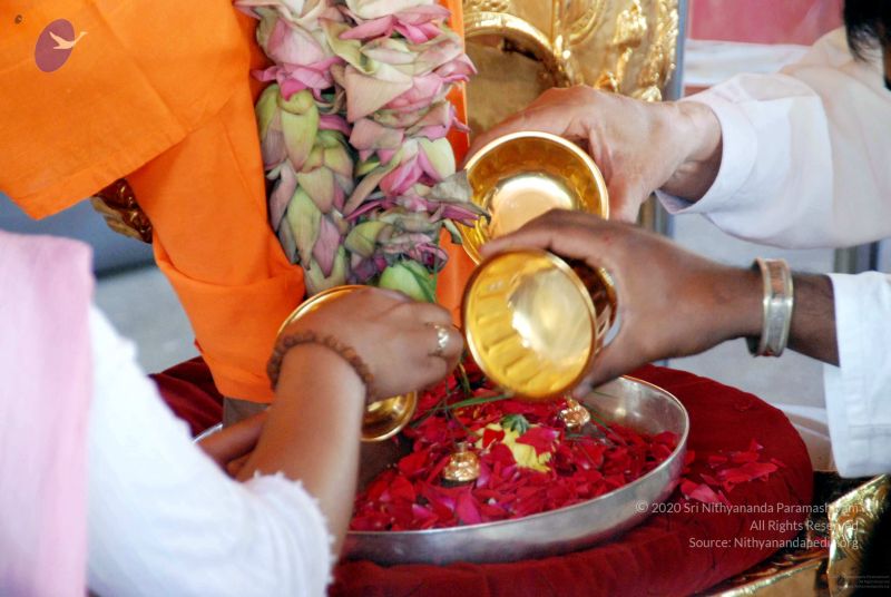 File:20091201DSC 3792 CMP WM001.jpg