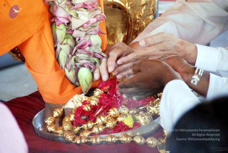 File:20091201DSC 3809 CMP WM001.jpg