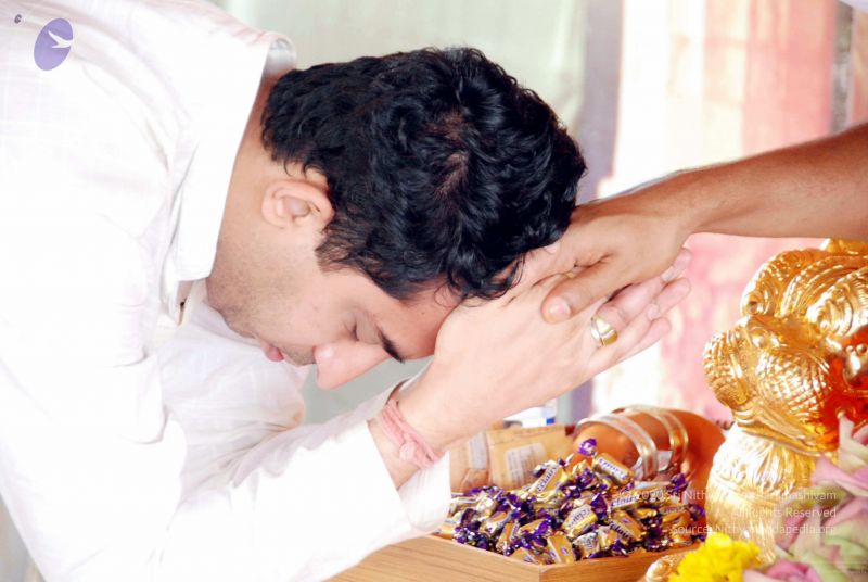 File:20091201DSC 3832 CMP WM001.jpg